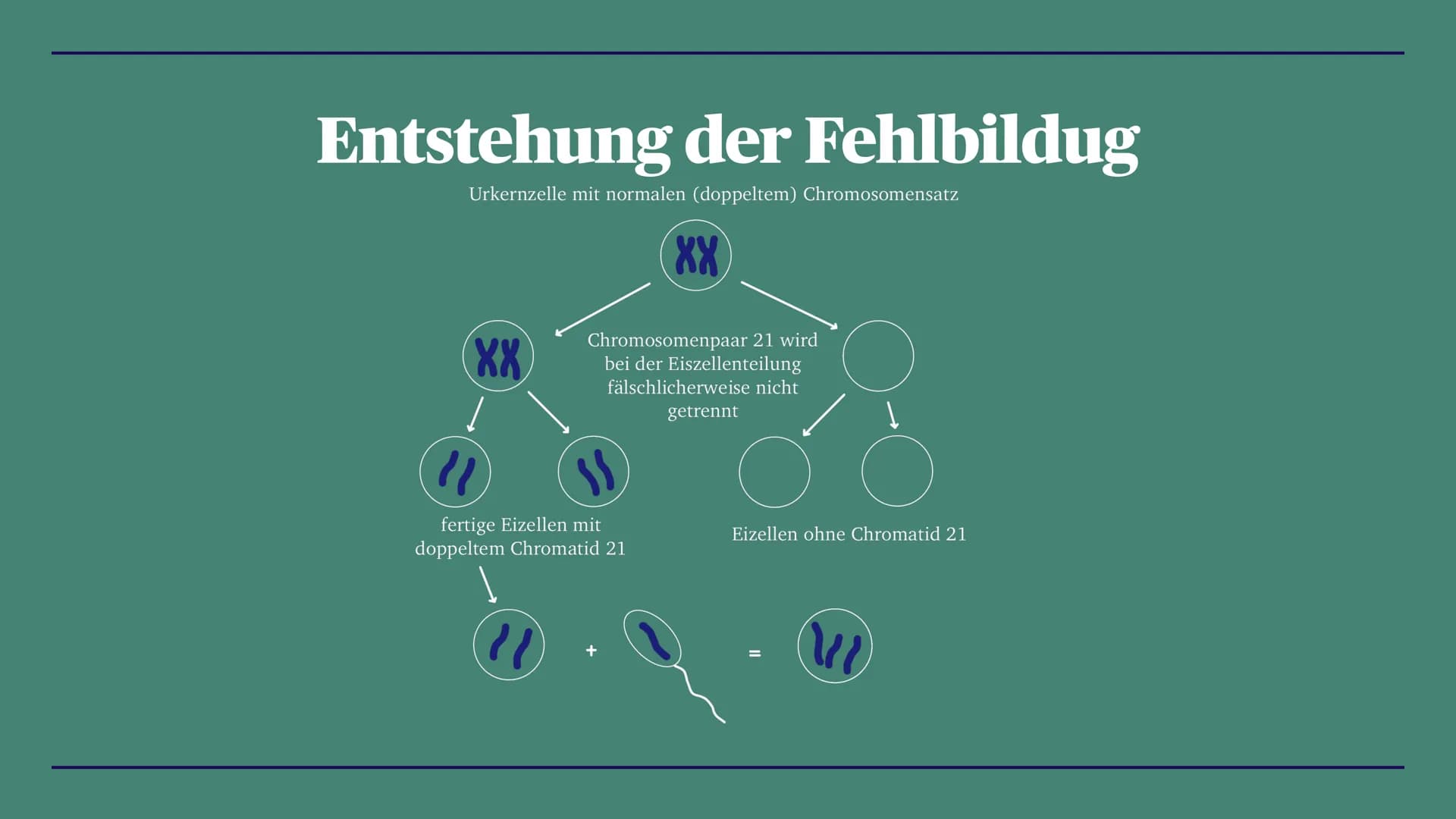 Trisomie 21
Down-Syndrom
Zoe, Louisa, Alina, Linda, La Toya, Talida, Emma, Diana Gliederung
- Definition
- Krankheitsbild
- Entstehung der F