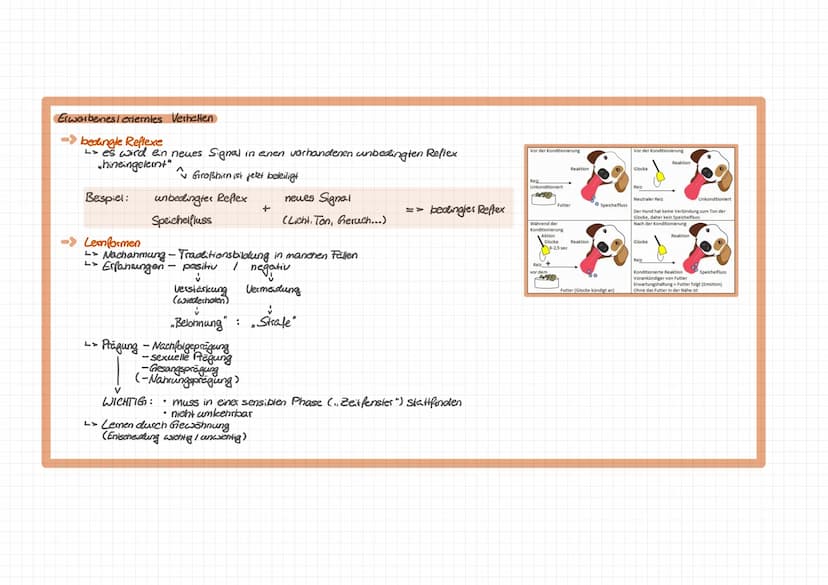 Verhaltensbiologie
Veshallen => Tätigkeiten, körperhaltungen & Lautäußerungen
in Funktionskrese unterteilen - Z.B.• Nahrungserwerb
• Schutz
