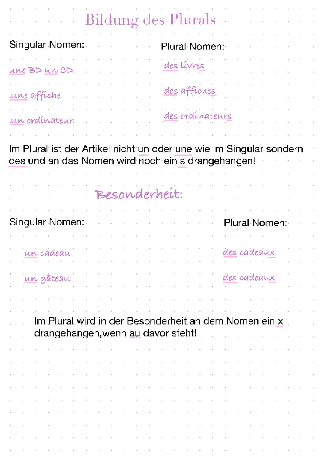 Bildung des Plurals 