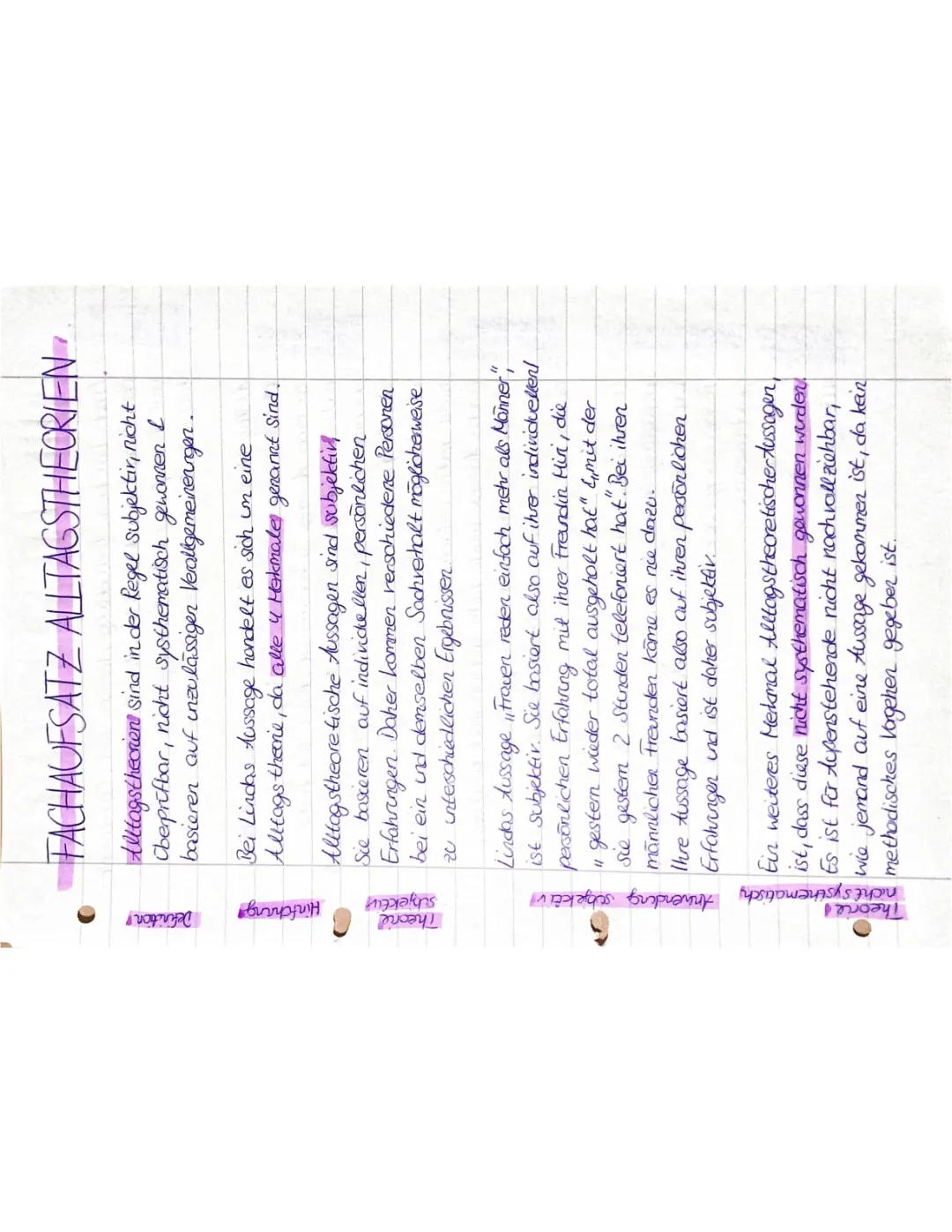 ✨Fachaufsatz zu den Alltagstheorien✨