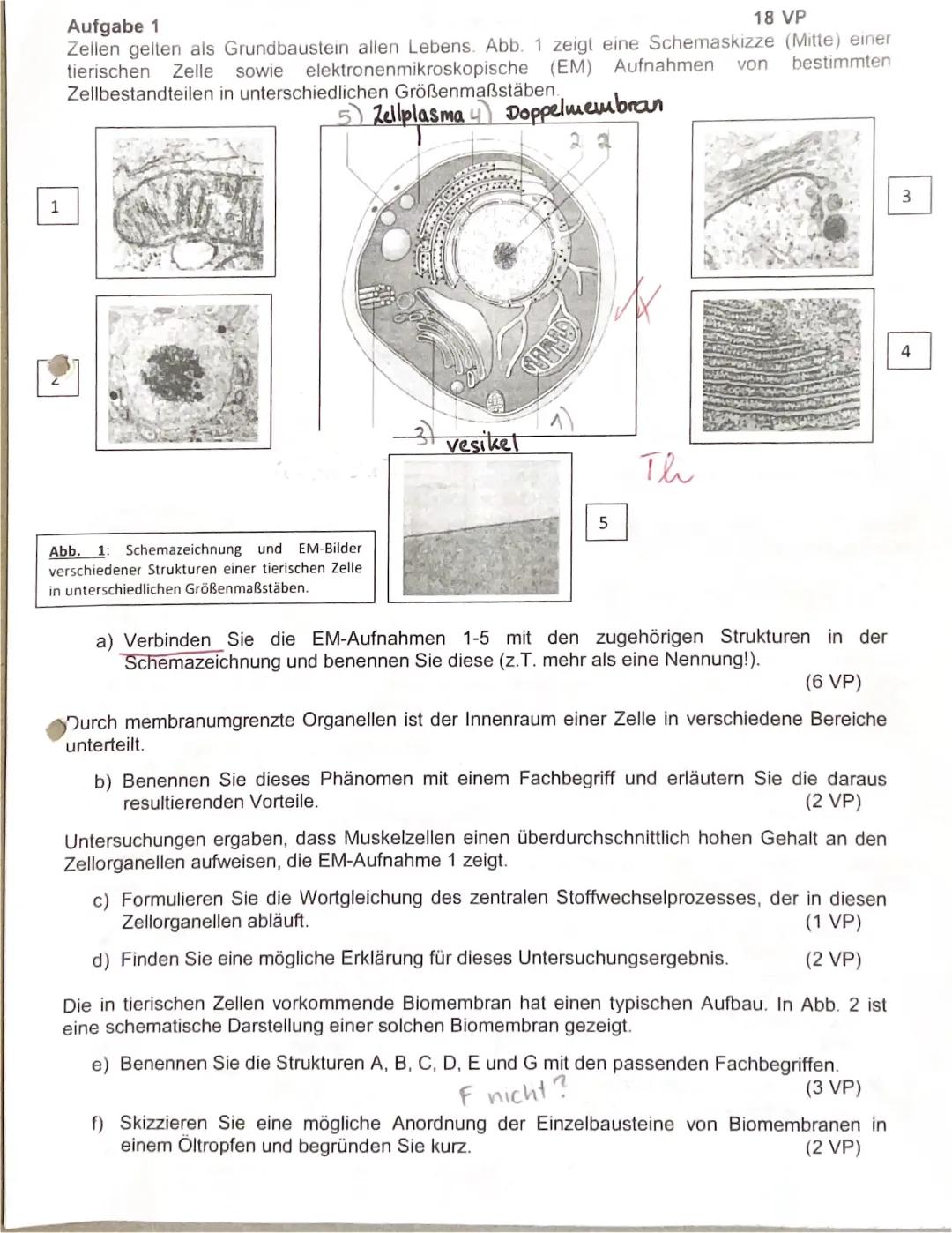 Biomembran & Cytologie