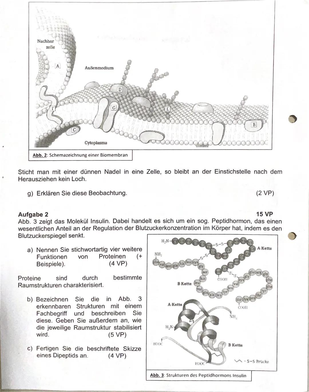 1
18 VP
Aufgabe 1
Zellen gelten als Grundbaustein allen Lebens. Abb. 1 zeigt eine Schemaskizze (Mitte) einer
von bestimmten
tierischen Zelle