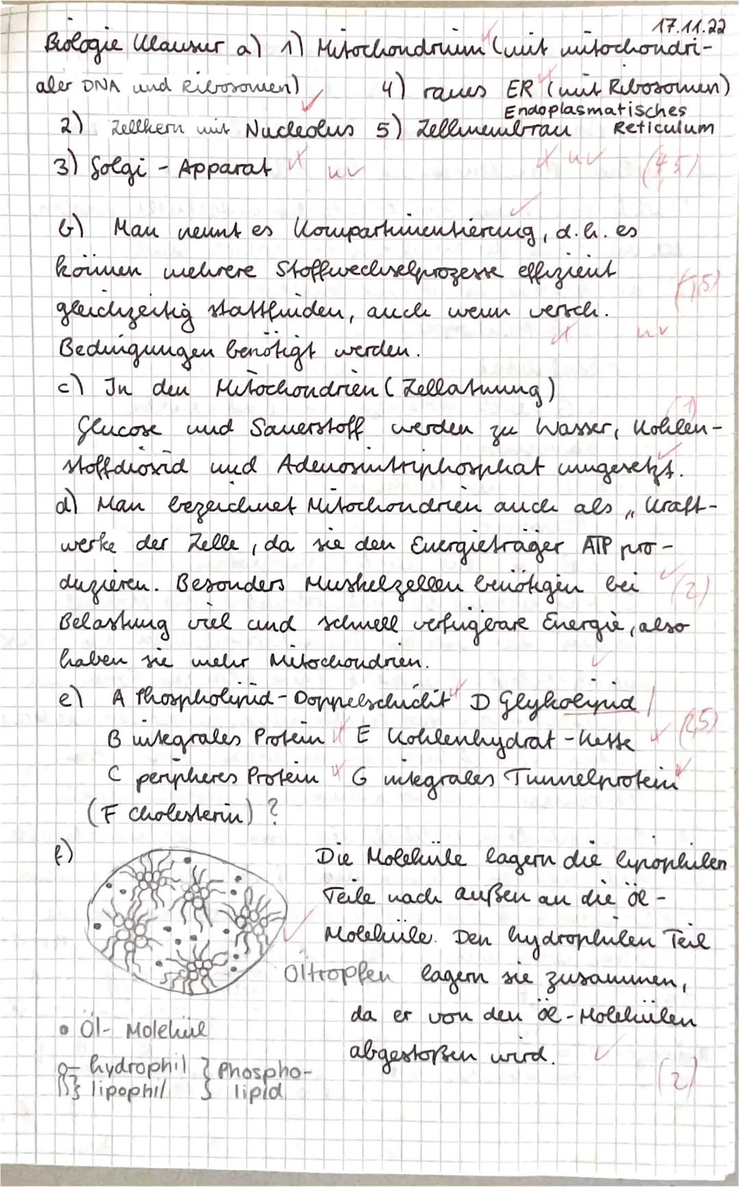 1
18 VP
Aufgabe 1
Zellen gelten als Grundbaustein allen Lebens. Abb. 1 zeigt eine Schemaskizze (Mitte) einer
von bestimmten
tierischen Zelle