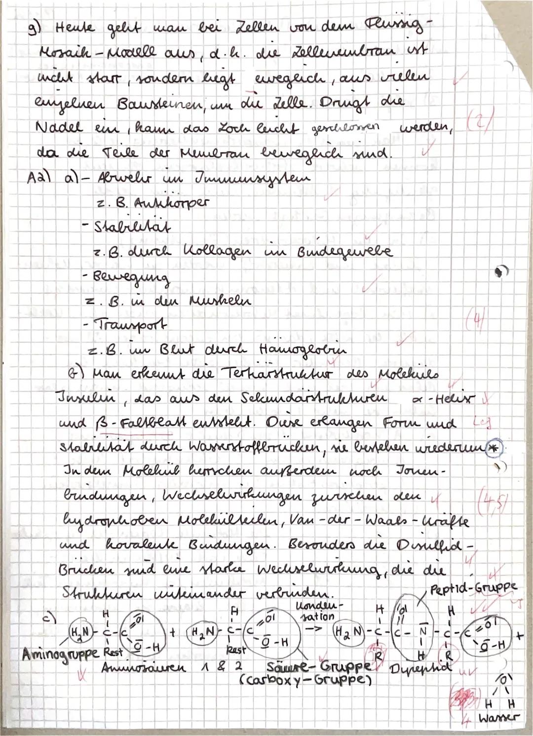 1
18 VP
Aufgabe 1
Zellen gelten als Grundbaustein allen Lebens. Abb. 1 zeigt eine Schemaskizze (Mitte) einer
von bestimmten
tierischen Zelle