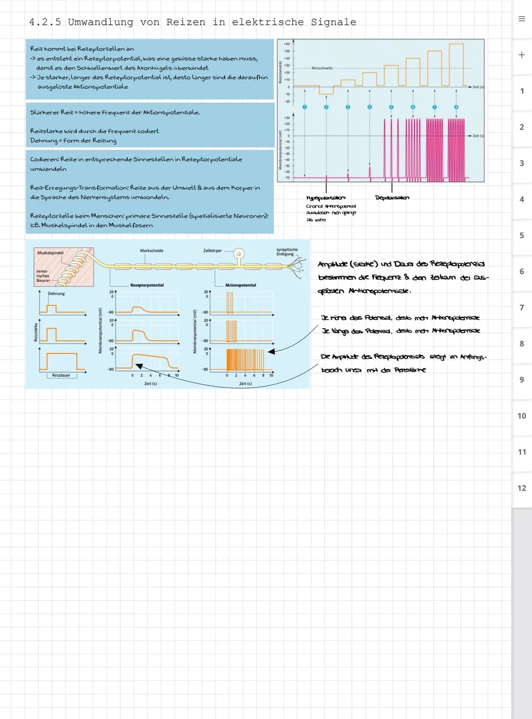 Biologie LK
Abiturvorbereitung abitur.nrw
Leistungskurs
Genetik
Meiose und Rekombination
Analyse von Familienstammbäu-
men
Proteinbiosynthes