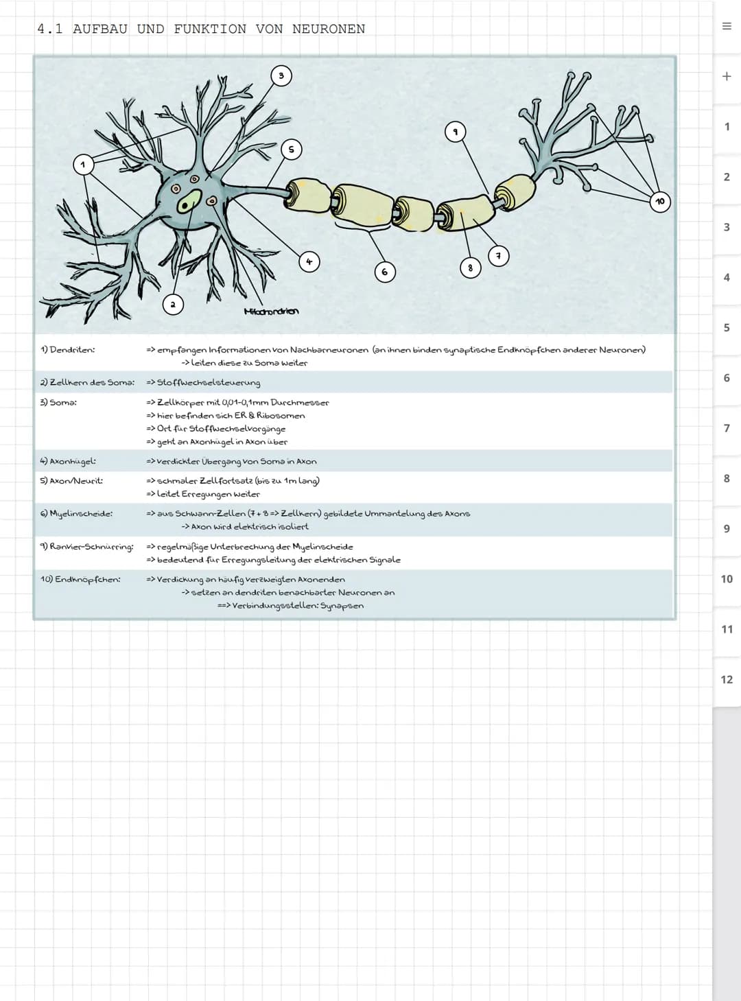 Biologie LK
Abiturvorbereitung abitur.nrw
Leistungskurs
Genetik
Meiose und Rekombination
Analyse von Familienstammbäu-
men
Proteinbiosynthes