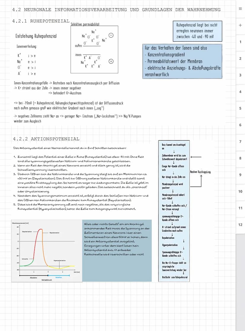 Biologie LK
Abiturvorbereitung abitur.nrw
Leistungskurs
Genetik
Meiose und Rekombination
Analyse von Familienstammbäu-
men
Proteinbiosynthes