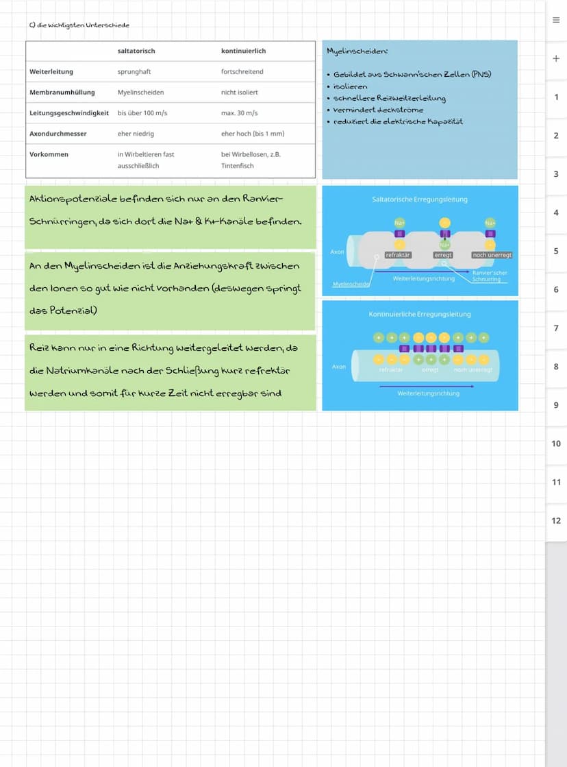 Biologie LK
Abiturvorbereitung abitur.nrw
Leistungskurs
Genetik
Meiose und Rekombination
Analyse von Familienstammbäu-
men
Proteinbiosynthes