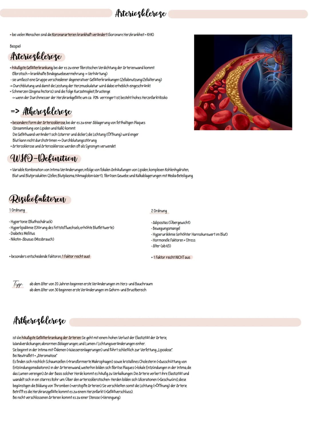 funktionaler Herz-Kreislauf
(-kardiovaskuläres System)
- versorgt den ganzen Körper mit Sauerstoff und Nährstoffen
-Stoffwechselprodukte und