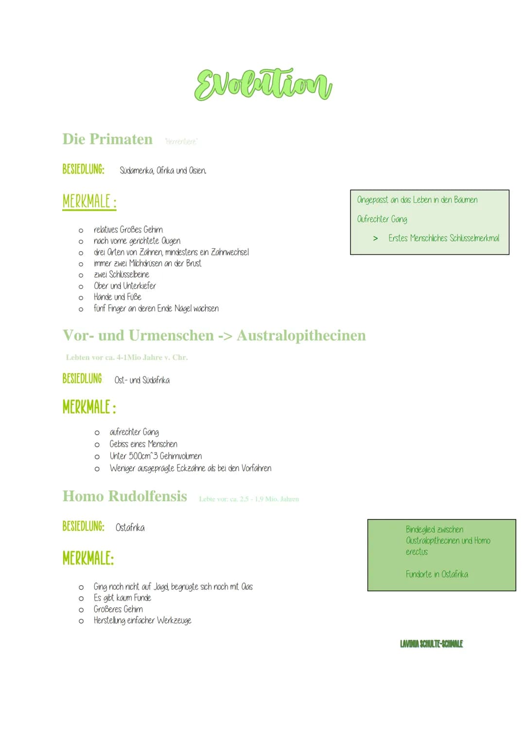 Die Primaten Herrentiere
BESIEDLUNG: Südamerika, Afrika und Asien.
MERKMALE:
O
O
O
O
O
O
O
O
relatives Großes Gehim.
nach vome gerichtete Au