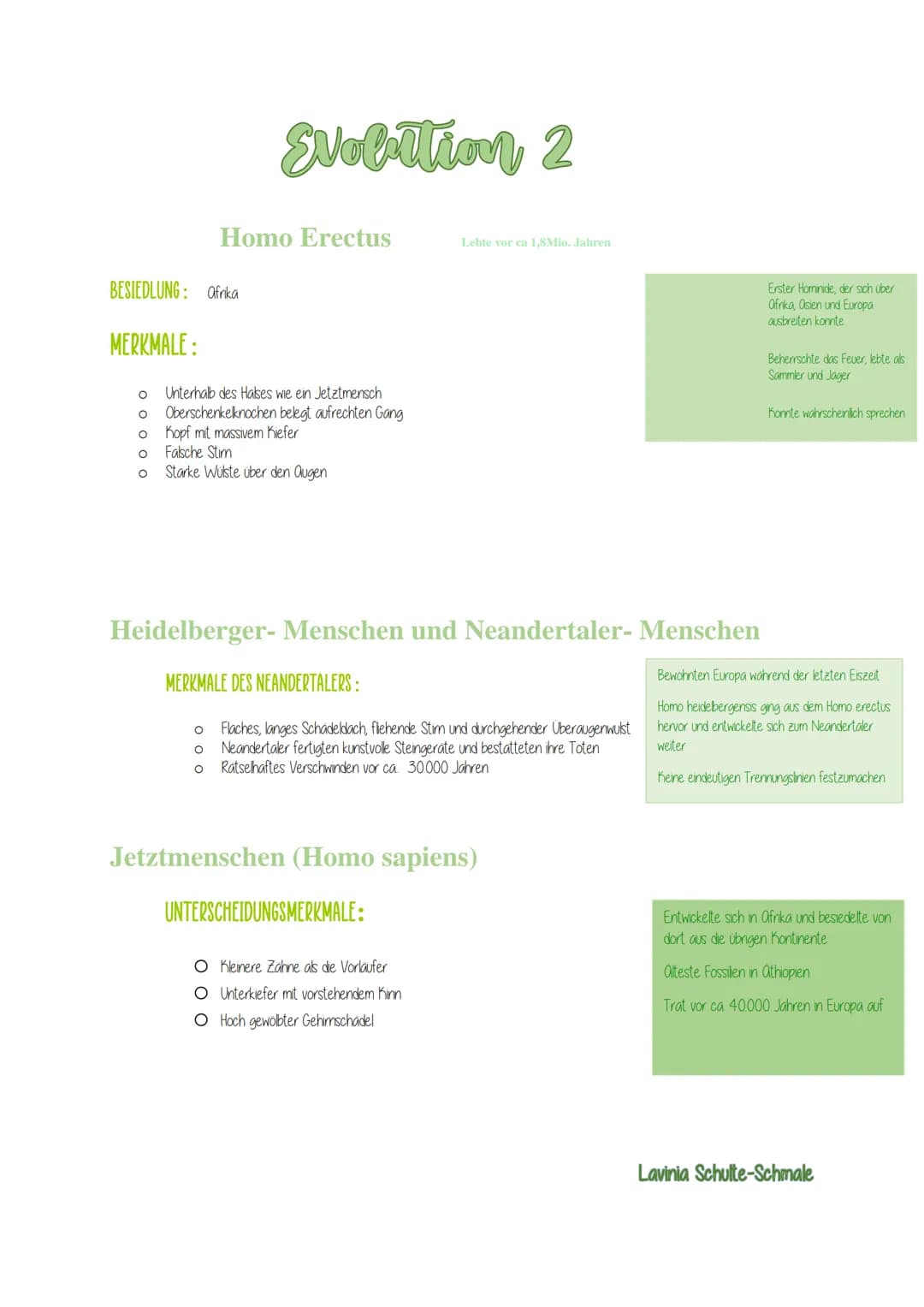 Die Primaten Herrentiere
BESIEDLUNG: Südamerika, Afrika und Asien.
MERKMALE:
O
O
O
O
O
O
O
O
relatives Großes Gehim.
nach vome gerichtete Au