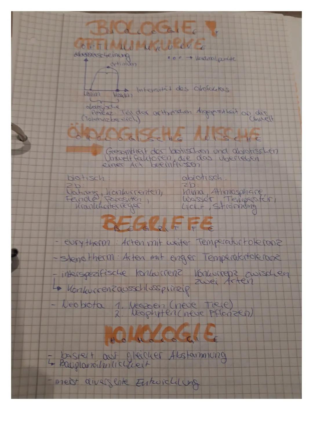 Mitose und Meiose einfach erklärt: Unterschiede und Gemeinsamkeiten