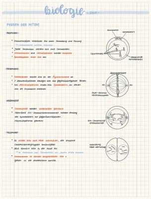 Know Biologie -DNA- (Mitose etc.) thumbnail