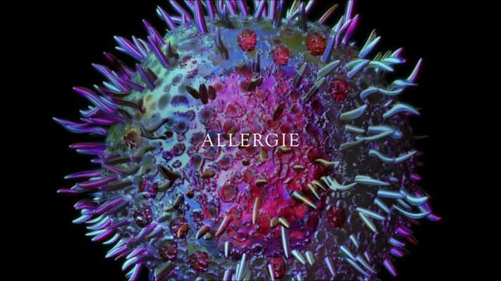 Know Allergie thumbnail