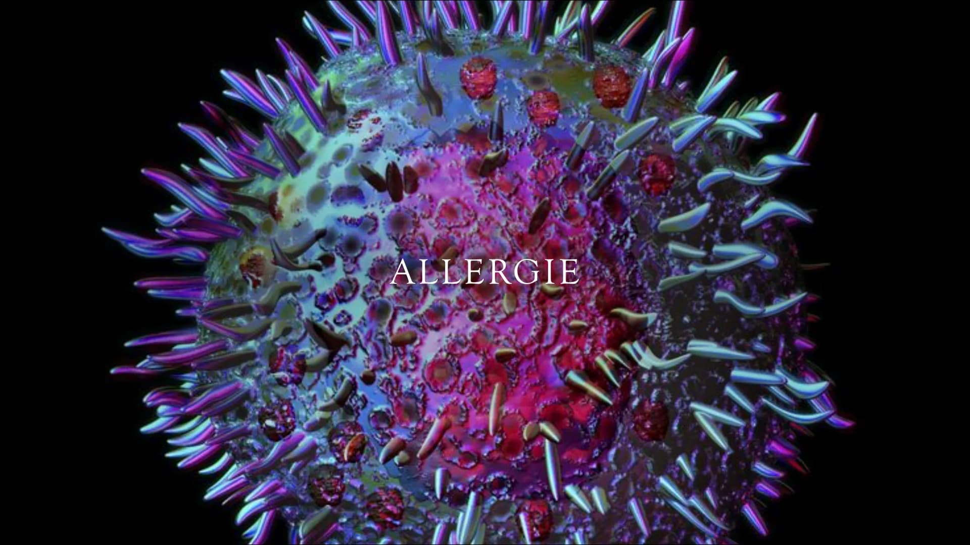 ALLERGIE • Definition & Grundlagen
●
Entstehung einer Allergie
Arten einer Allergie
Häufige Symptome
Beispiele der Symptome
Diagnose & Test
