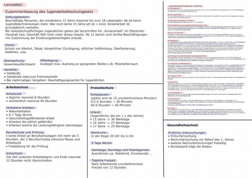 Jugendarbeitsschutzgesetz
JArbSchG
Berufsbildungsgesetz
(BBIG)
Enthaltene Themen:
Mutterschutzgestz
Berufsausbildung/ Duales System
Beendigu