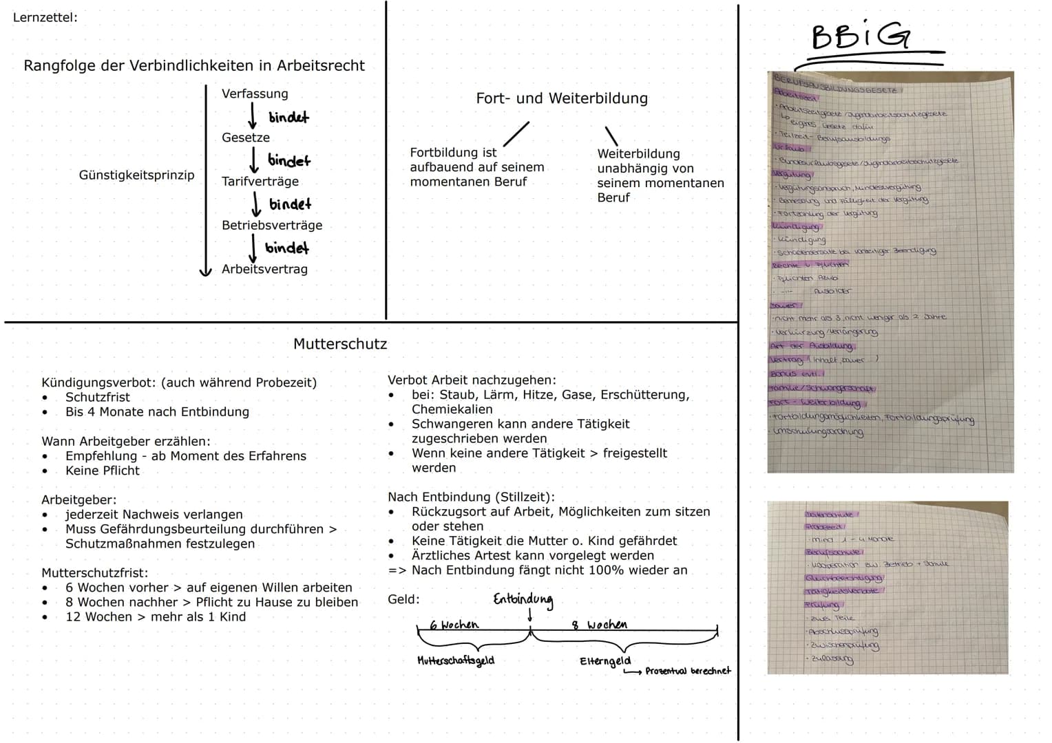 Jugendarbeitsschutzgesetz
JArbSchG
Berufsbildungsgesetz
(BBIG)
Enthaltene Themen:
Mutterschutzgestz
Berufsausbildung/ Duales System
Beendigu