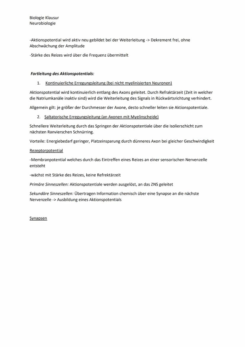Biologie Klausur
Neurobiologie
Nervenzellen Bau und Funktion
Dendrit
Zellkern
Axon
Neuron Aufbau
Myelinscheide
Soma
Axonhügel
Ruhepotential

