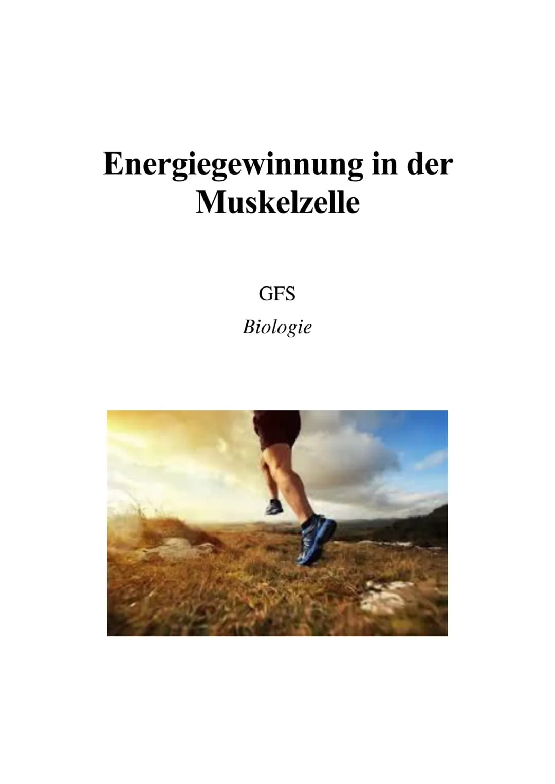 Energiegewinnung in der
Muskelzelle
GFS
Biologie Inhaltsverzeichnis
Einleitung.....
Energiewährung ATP
Synthetisierung von ATP.
Anaerob-alak