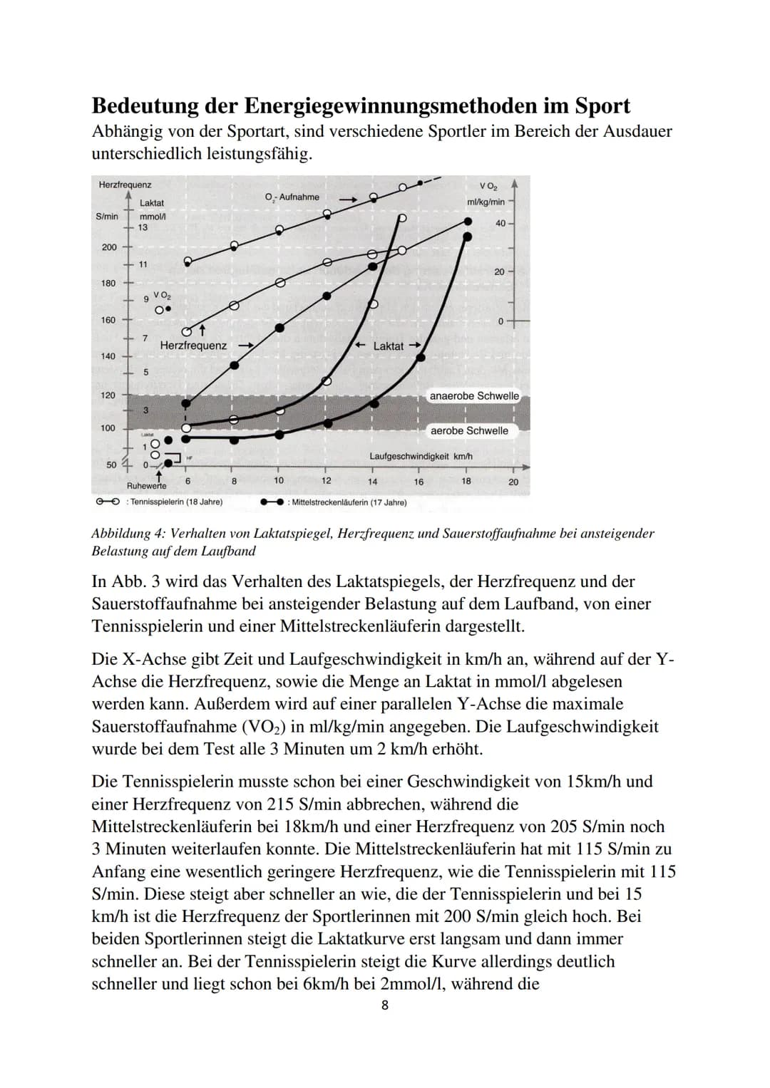 Energiegewinnung in der
Muskelzelle
GFS
Biologie Inhaltsverzeichnis
Einleitung.....
Energiewährung ATP
Synthetisierung von ATP.
Anaerob-alak