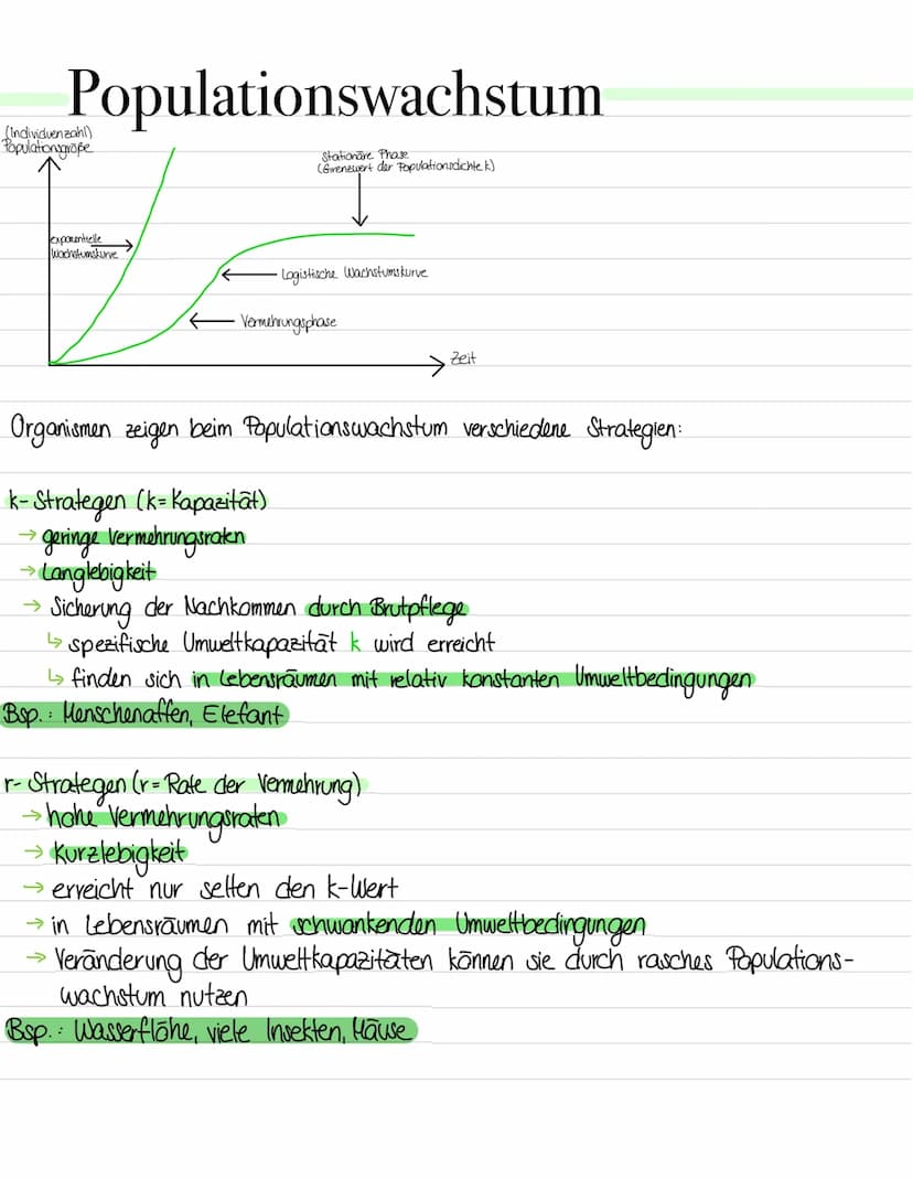 Populationswachstum
→ Individuenzahl von Populationen andert sich durch Vermehrung & Tod ständig
→ Wachstum findet nur staff, wenn die Gebur