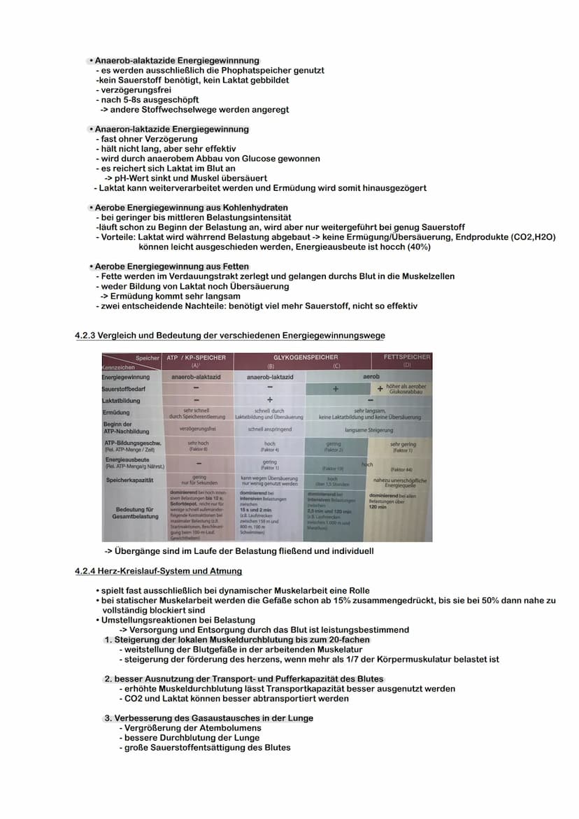 TRAININGSLEHRE Sport und Training
Trainingslehre ist die Lehre der Vermittlung von Kentnissen zur Durchführung eines sportlichen
Trainings m