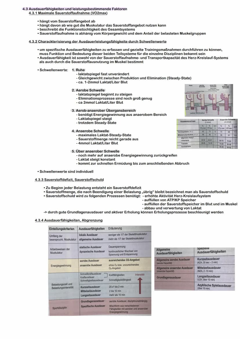 TRAININGSLEHRE Sport und Training
Trainingslehre ist die Lehre der Vermittlung von Kentnissen zur Durchführung eines sportlichen
Trainings m