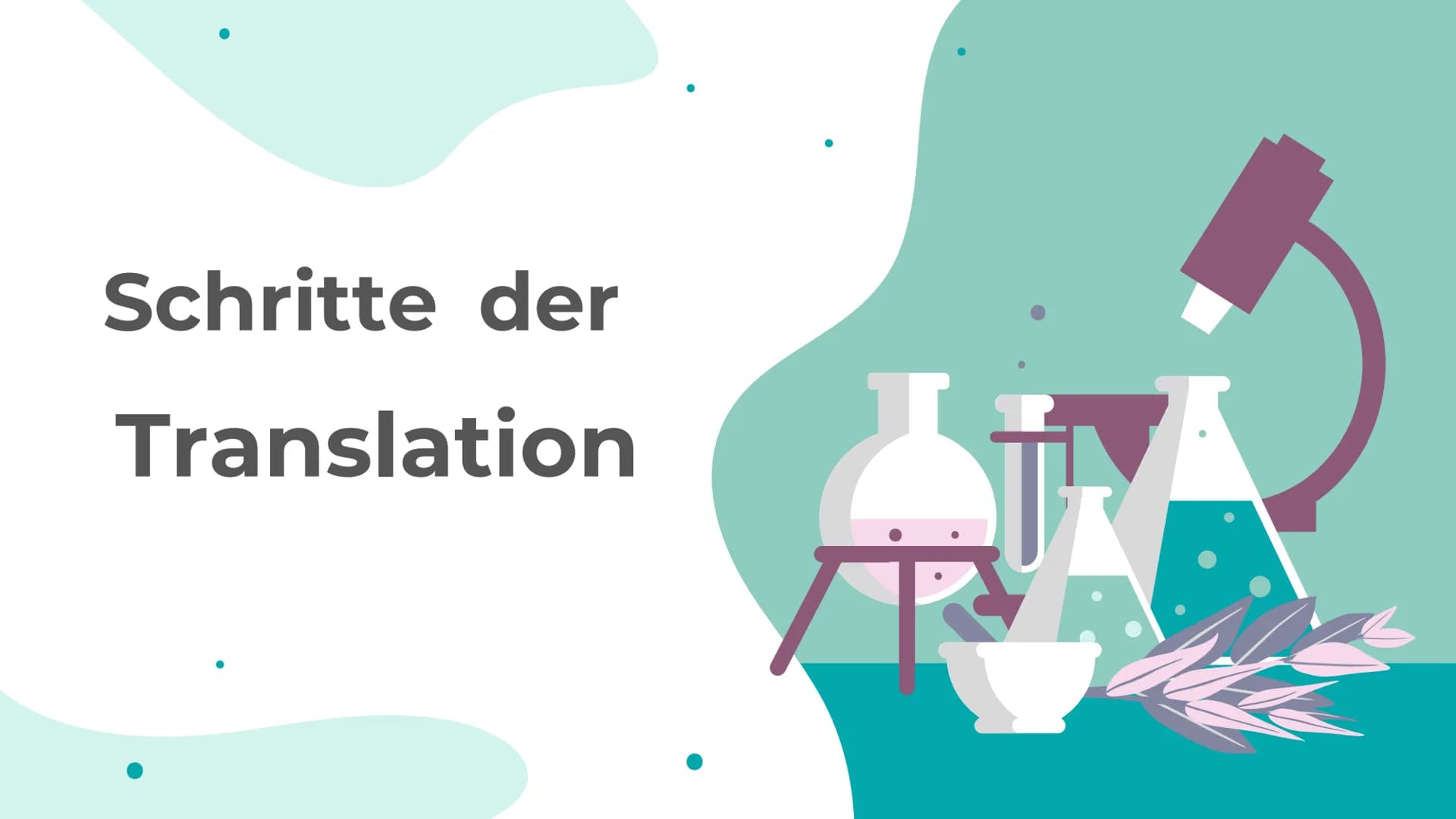 Schritte der
Translation
I
♥ Translation
01 Anlagerung der Ribosome
an die mRNA
02
tRNA mit Komplementären
Basentriplett bindet am
Ribosom
0