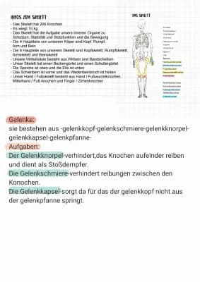 Know Gelenke und Skelett  thumbnail