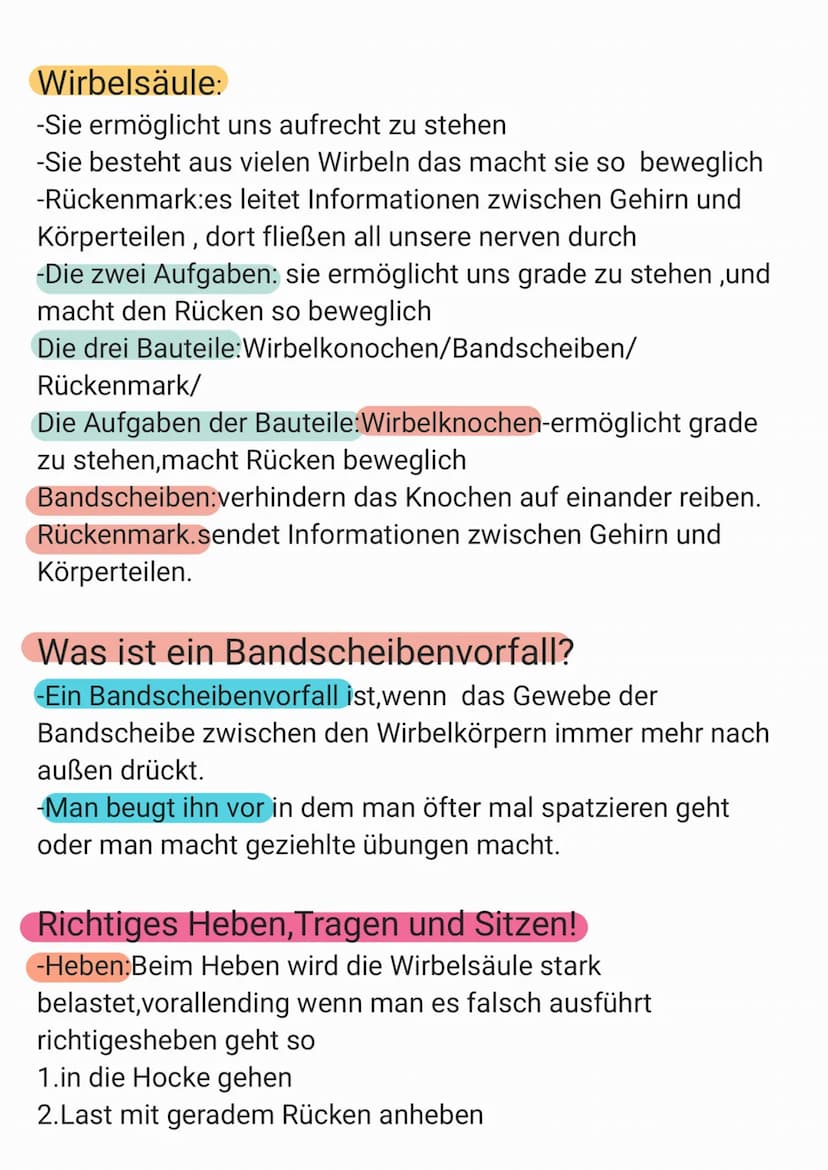 INFOS ZUM SKELETT
- Das Skelett hat 206 Knochen
- Es wiegt 10 kg
- Das Skelett hat die Aufgabe unsere inneren Organe zu
Schützen, Stabilität