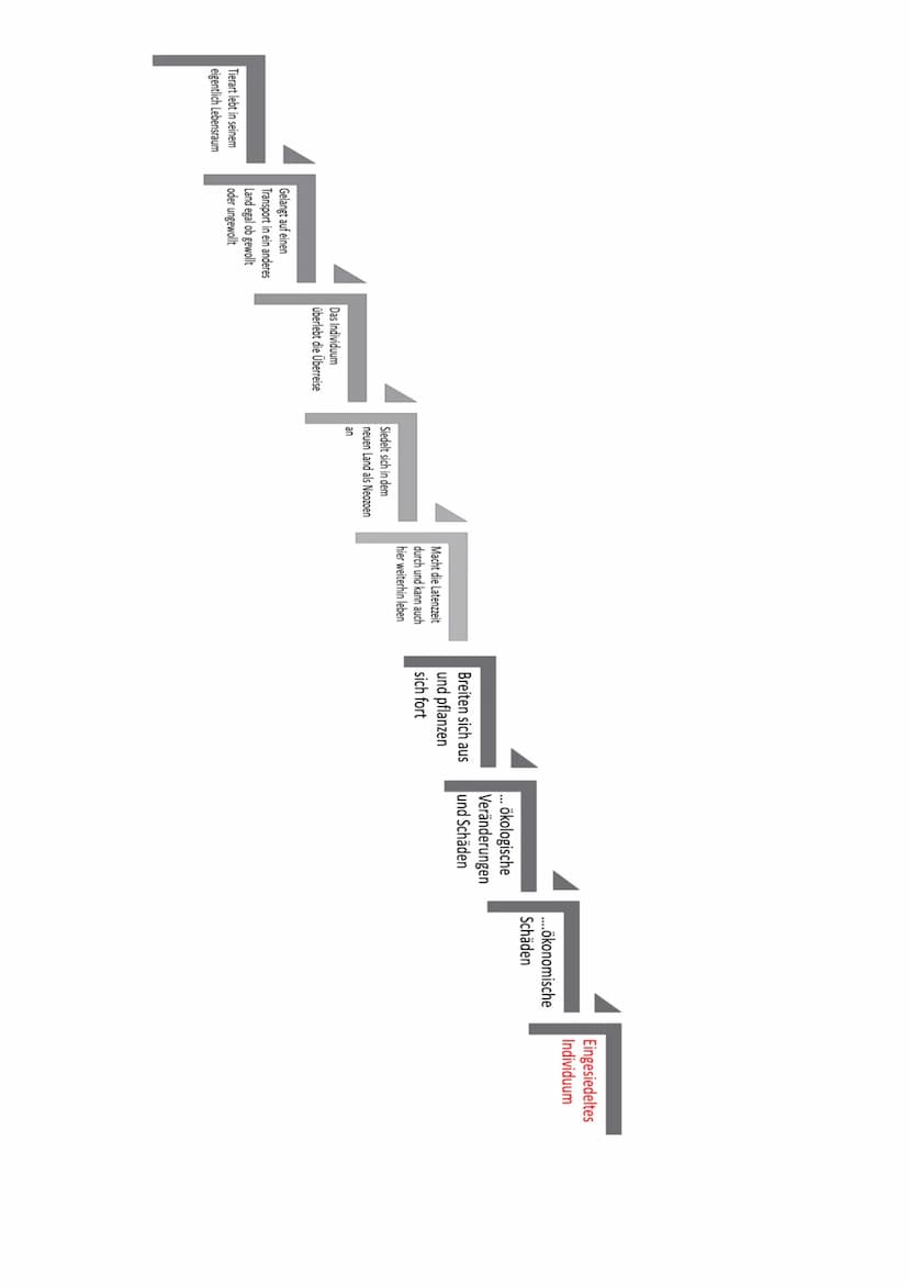 Wie es tatsächlich aussieht
38 (2%)
354 (17%)
Pilze
Wirbellose
Wirbeltiere 100 (5%)
Pflanzen
1611 (76%)
2103
13 (16%)
(25%)
(59%)
Pilze
Wirb