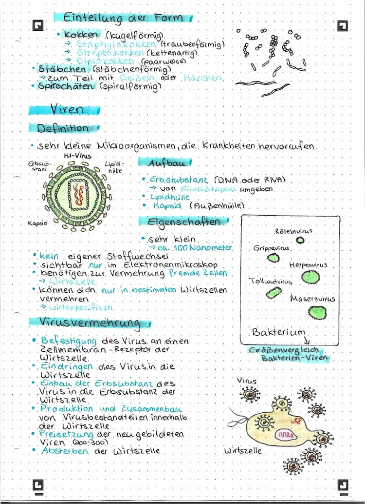Know Bakterien, Viren, Pilze & Protozoen thumbnail