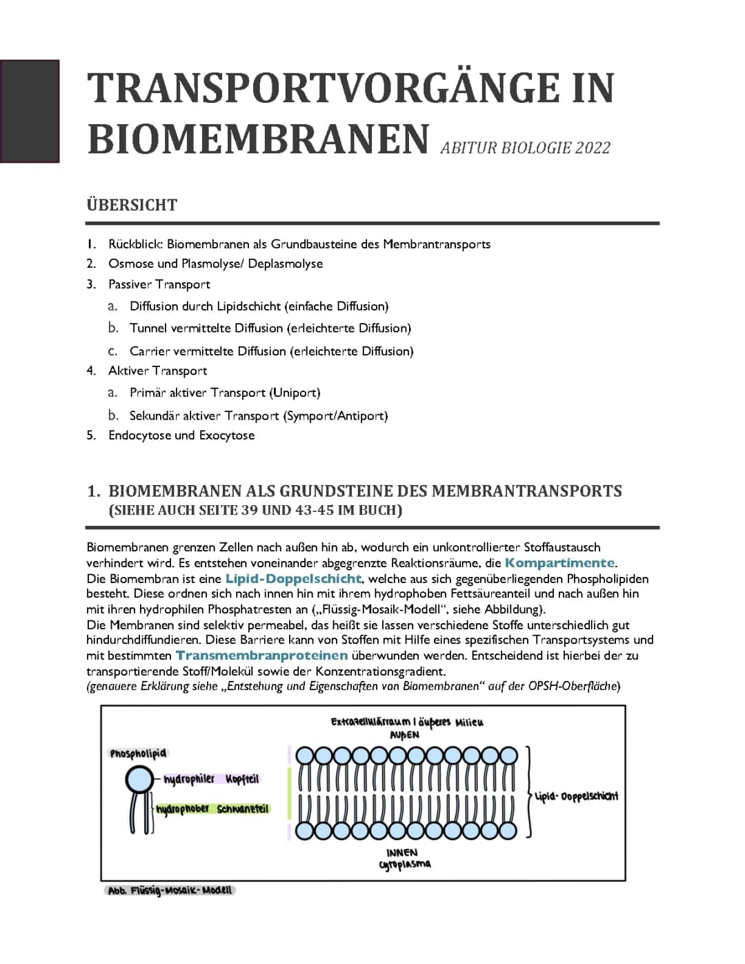 Transportvorgänge in Biomembranen