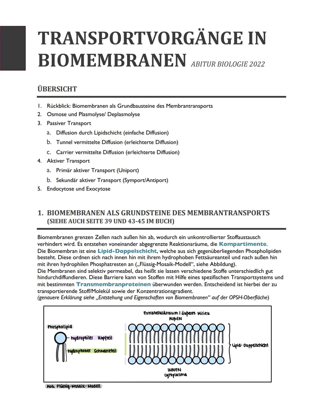 TRANSPORTVORGÄNGE IN
BIOMEMBRANEN ABITUR BIOLOGIE 2022
ÜBERSICHT
1. Rückblick: Biomembranen als Grundbausteine des Membrantransports
2. Osmo