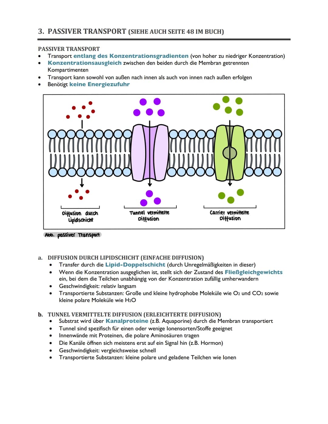 TRANSPORTVORGÄNGE IN
BIOMEMBRANEN ABITUR BIOLOGIE 2022
ÜBERSICHT
1. Rückblick: Biomembranen als Grundbausteine des Membrantransports
2. Osmo
