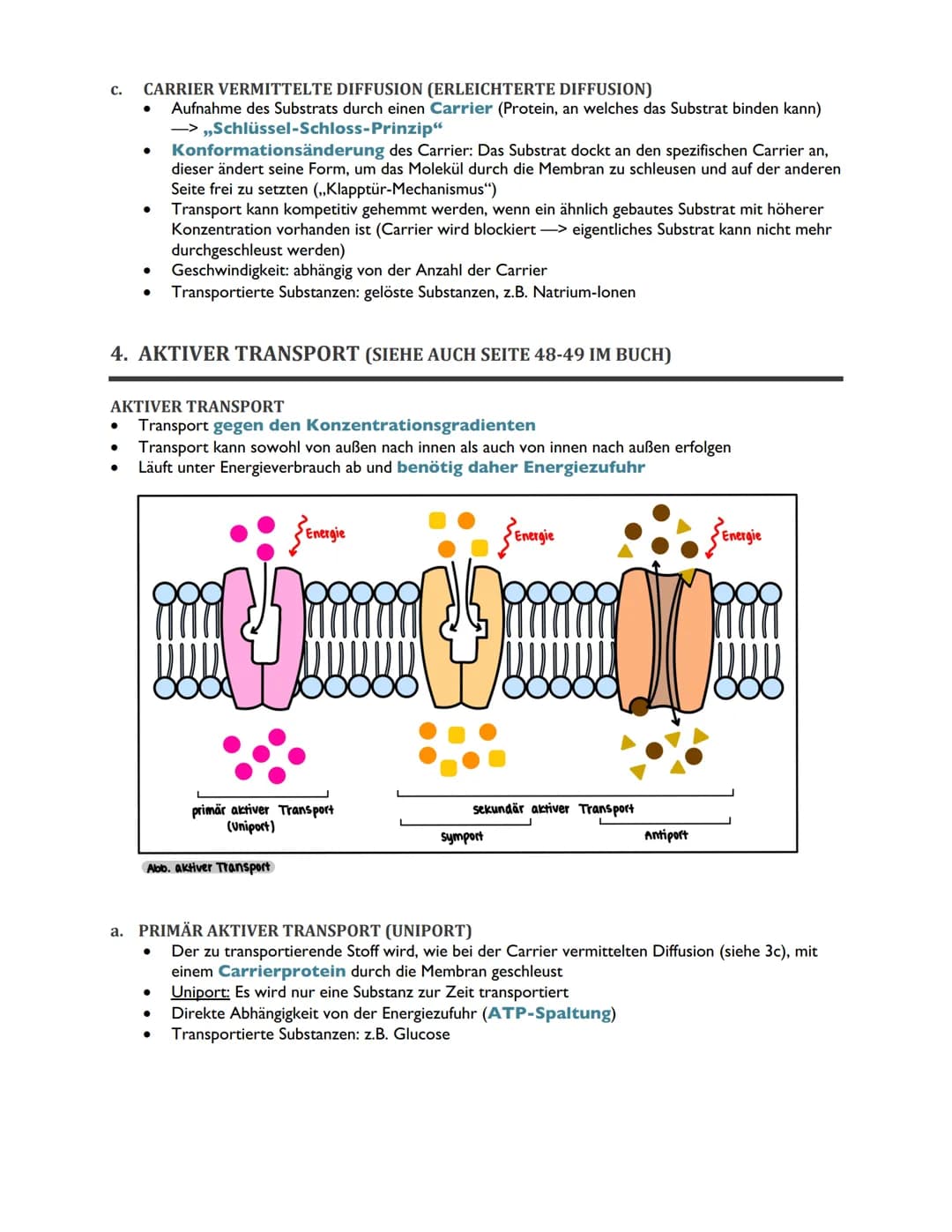 TRANSPORTVORGÄNGE IN
BIOMEMBRANEN ABITUR BIOLOGIE 2022
ÜBERSICHT
1. Rückblick: Biomembranen als Grundbausteine des Membrantransports
2. Osmo