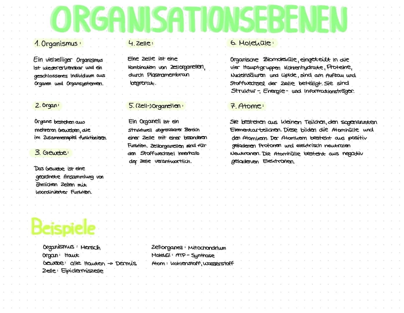 ORGANISATIONSEBENEN
1. Organismus:
Ein vielzelliger Organismus
ist wiedererkennbar und ein
geschlossenes Individuum aus
Organen und Organsys