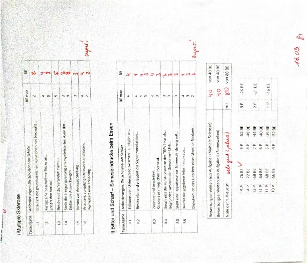 Bio LK Klausur Q1 Neurobiologie