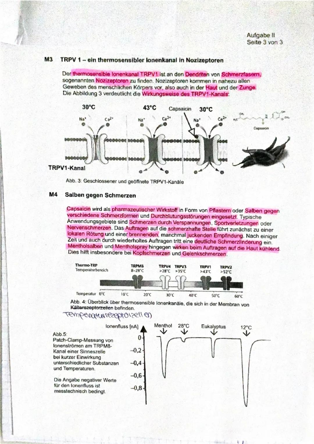 1 Multiple Sklerose
Teilaufgabe Anforderungen: Die Schülerin/ der Schüler
BE max
BE
Erläutert die grundsätzlichen Funktionen des Neurons...
