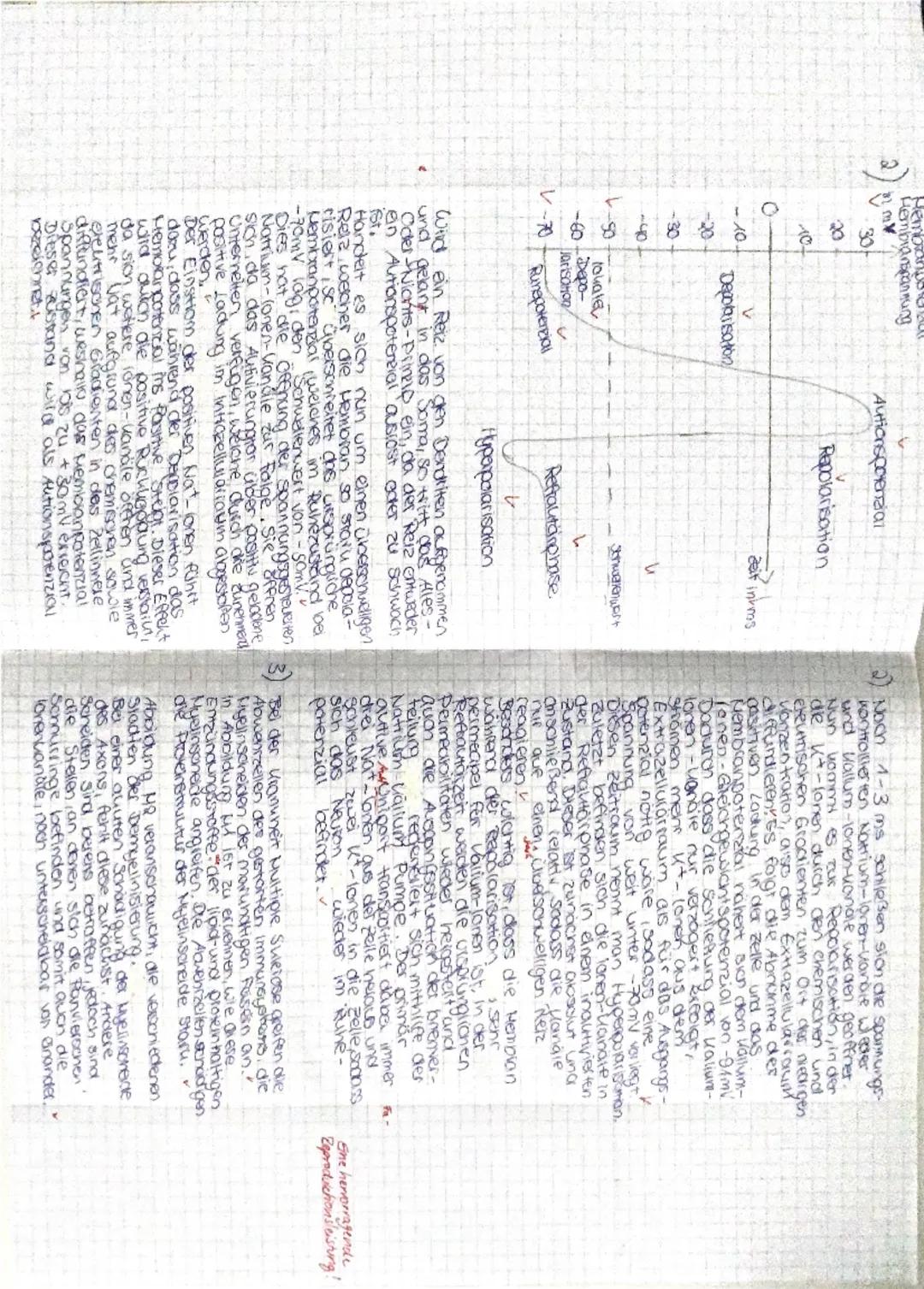 1 Multiple Sklerose
Teilaufgabe Anforderungen: Die Schülerin/ der Schüler
BE max
BE
Erläutert die grundsätzlichen Funktionen des Neurons...
