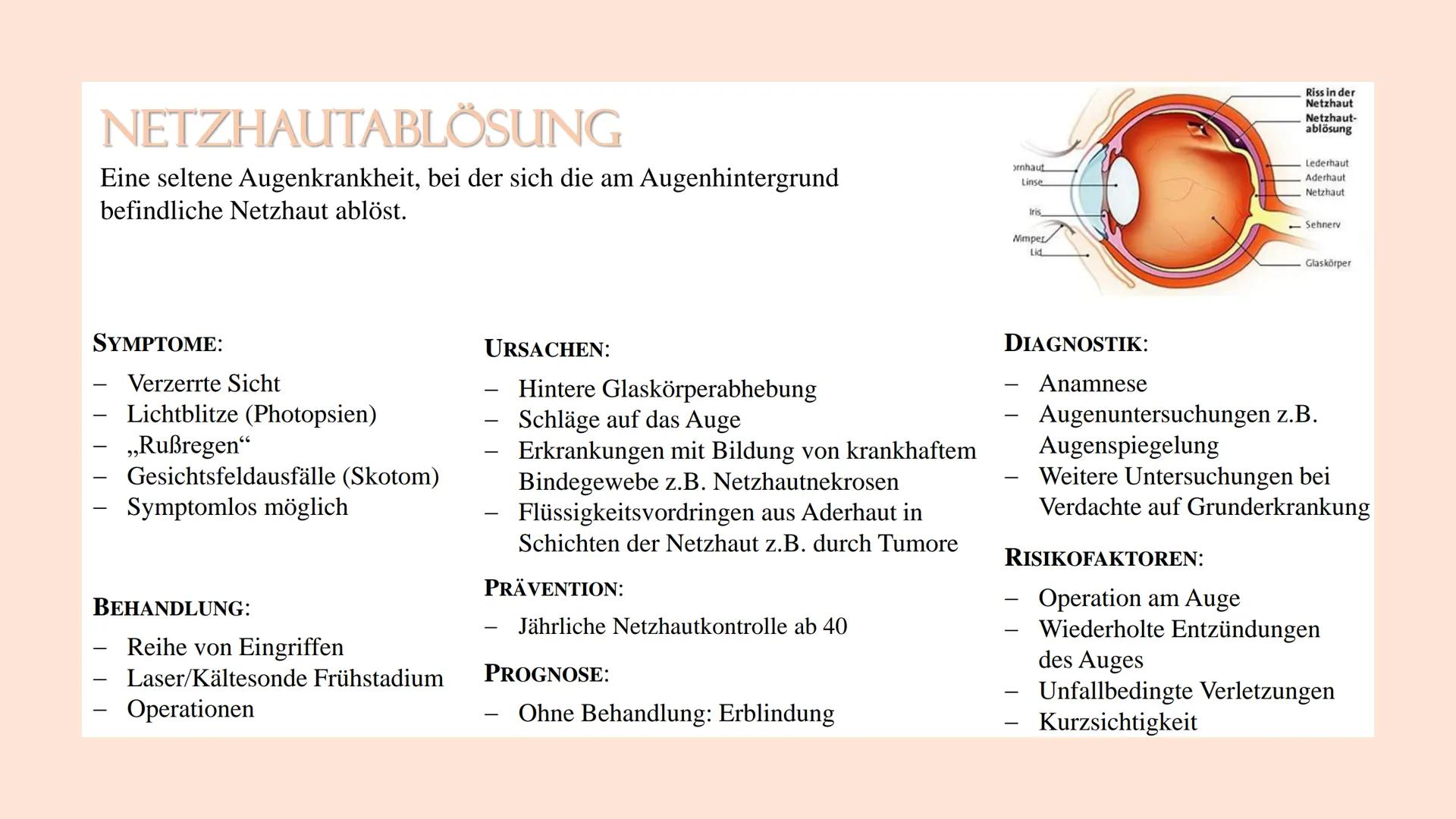 GRAUER STAR (KATARAKT)
Eine Augenerkrankung, bei der sich die sonst klare Linse
zunehmend trübt und das Sehvermögen stetig abnimmt.
SYMPTOME