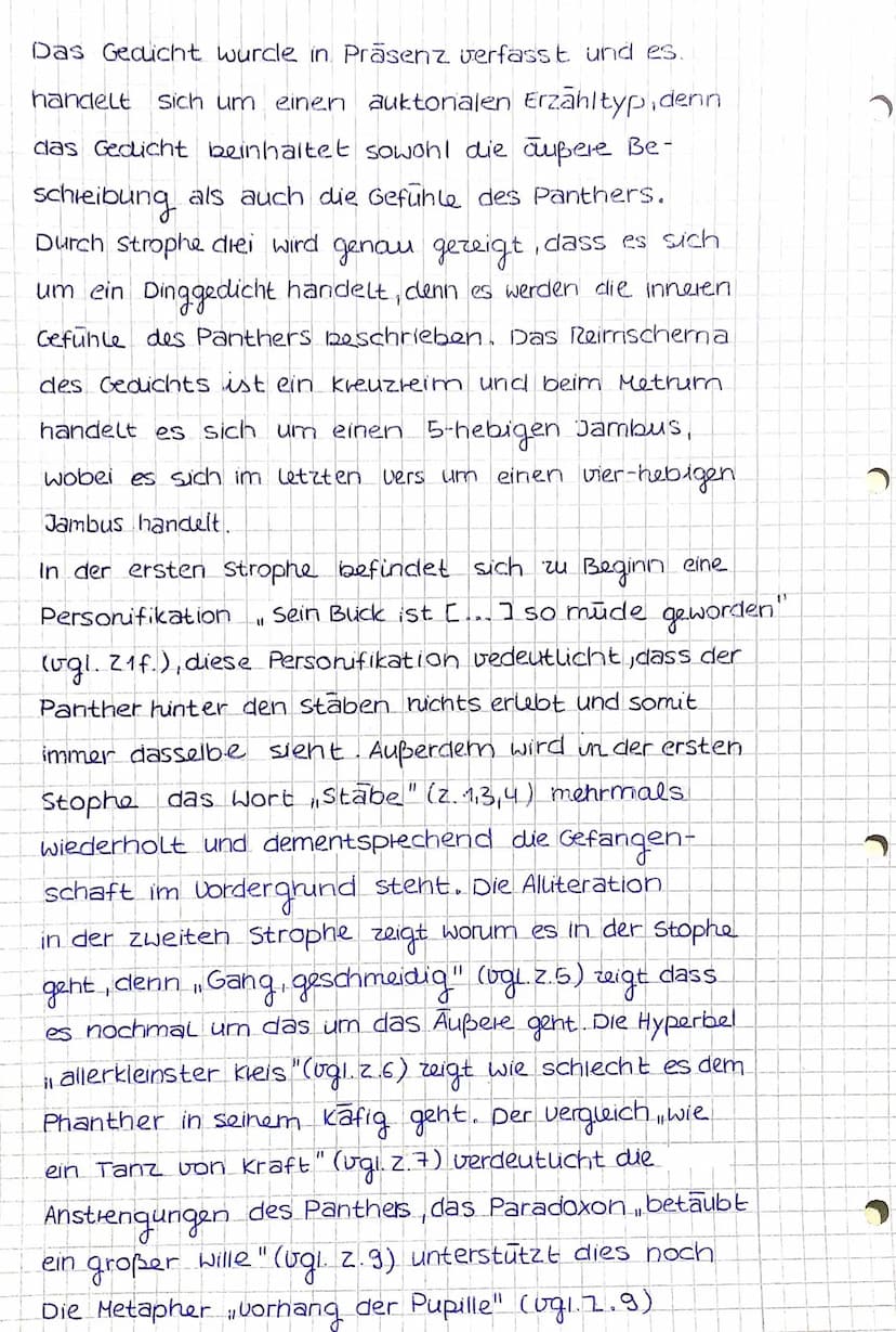 BRUNNEN
Gedichtsinterpretation
Das Gedicht, Der Panther von Reiner Maria
Rilke wurde 1903 geschrieben und handelt von
einem Panther, der in 