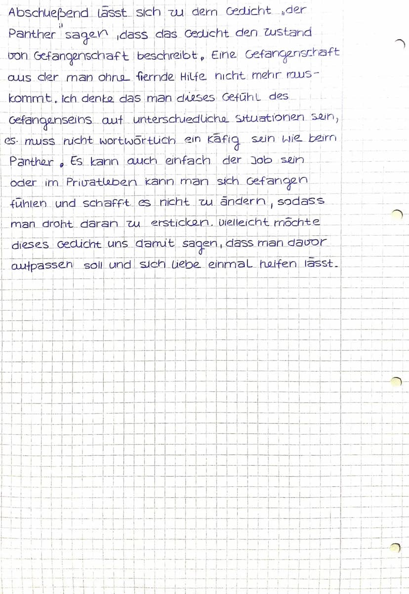 BRUNNEN
Gedichtsinterpretation
Das Gedicht, Der Panther von Reiner Maria
Rilke wurde 1903 geschrieben und handelt von
einem Panther, der in 