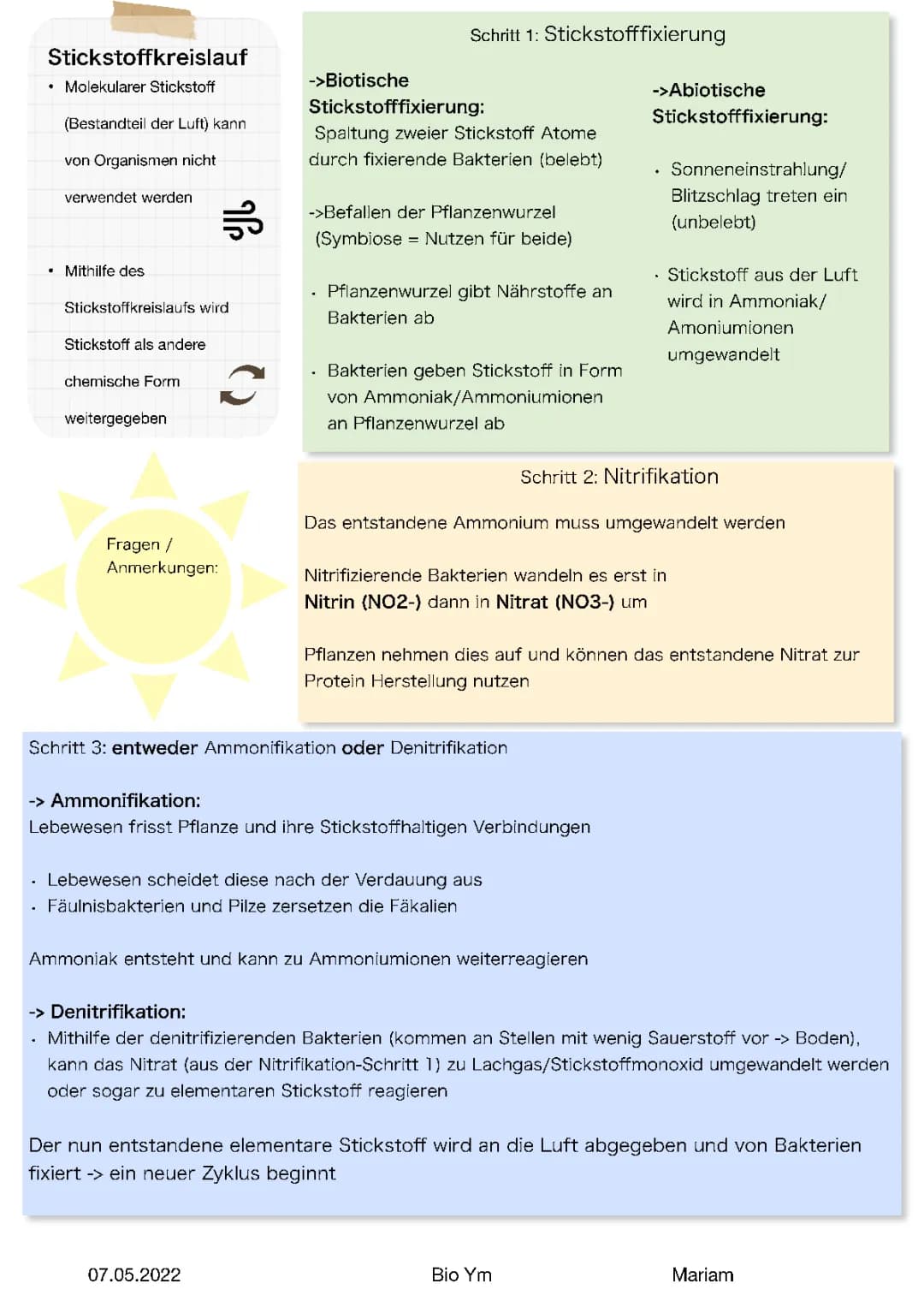 Stickstoffkreislauf 