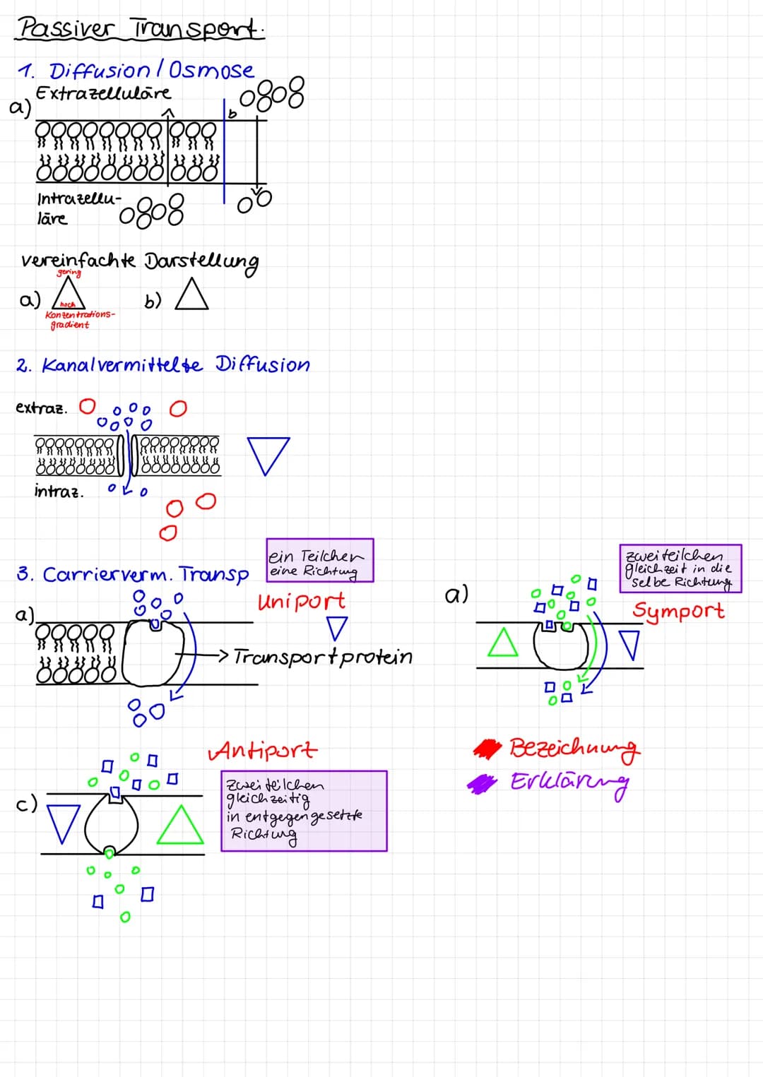 Passiv
• Diffusion = durch Eigenbewegung d. Teilchen (Braun'sche Mole-
kularbewegung) findet ein Konzentrationsausgleich
.
.
9
Osmose (+
Akt