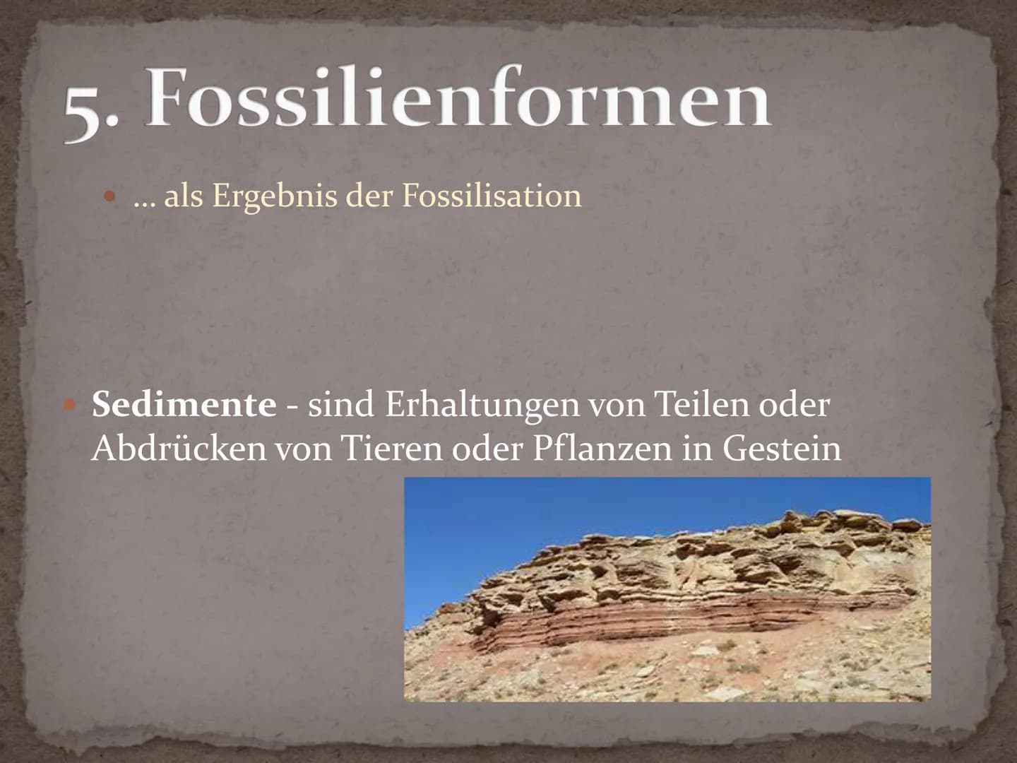 Fossilien Gliederung
1. Definition
2. Geschichte
3. Entstehung - Fossilisation
4. Bedeutung Fossilien
5. Fossilienformen
5.1 Knochenfunde
5.