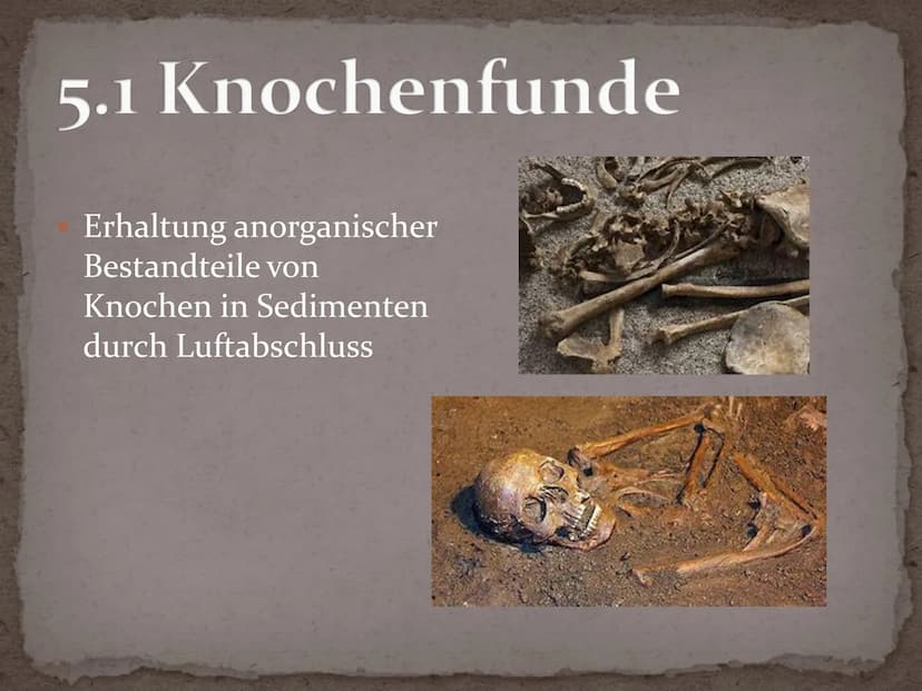 Fossilien Gliederung
1. Definition
2. Geschichte
3. Entstehung - Fossilisation
4. Bedeutung Fossilien
5. Fossilienformen
5.1 Knochenfunde
5.