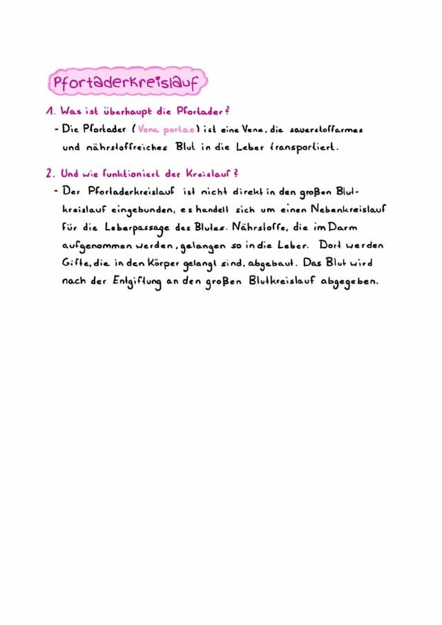 Know Pfortaderkreislauf / Pfortadersystem thumbnail