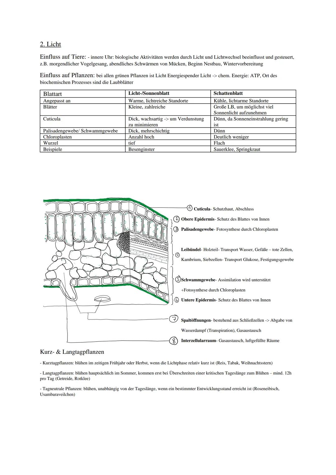 Abiotische Umweltfaktoren
- von der unbelebten Umwelt ausgehende äußere Einflüsse, die auf einen Organismus einwirken
- z.B. Temperatur, Lic