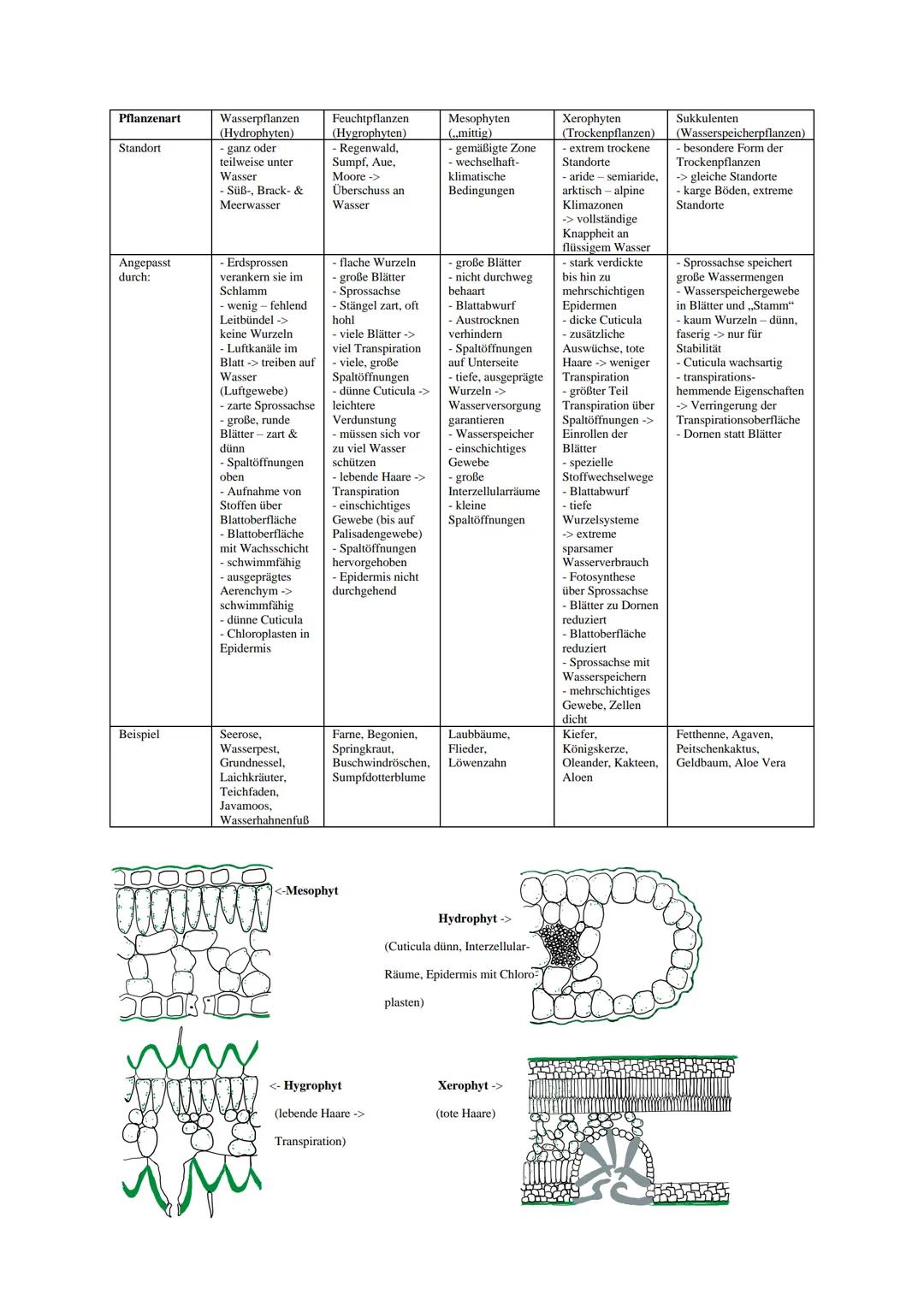 Abiotische Umweltfaktoren
- von der unbelebten Umwelt ausgehende äußere Einflüsse, die auf einen Organismus einwirken
- z.B. Temperatur, Lic